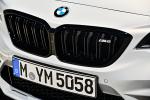 BMW M2 Competition 2018 года (WW)